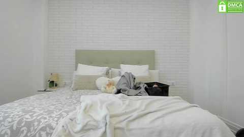 barbieprincess @ chaturbate on 20241120