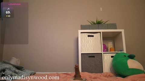 madisynwood @ chaturbate on 20241120