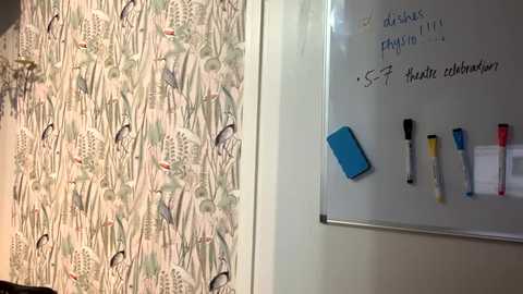 summer_always @ chaturbate on 20241120