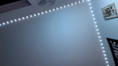 freakyfitking @ chaturbate on 20241121