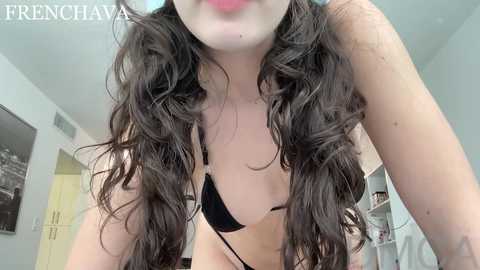 frenchava @ chaturbate on 20241122