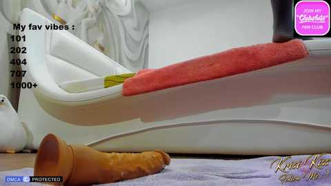 krisi_kiss @ chaturbate on 20241122