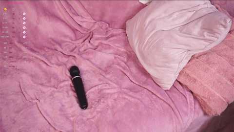 meow_meow_mia @ chaturbate on 20241122