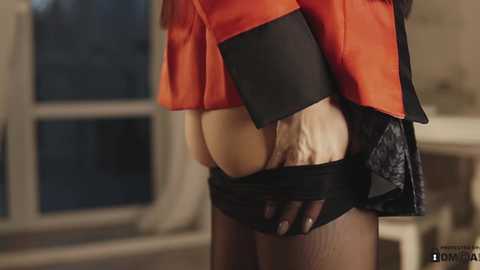 neferpita @ chaturbate on 20241122