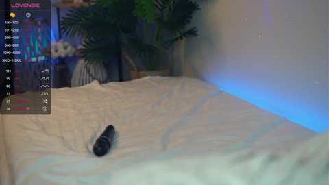 oki_dokie @ chaturbate on 20241123