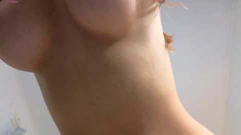 aryamirelle @ chaturbate on 20241124