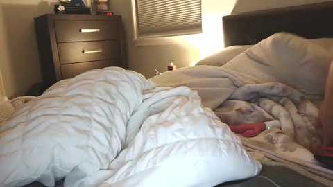 bhansen111 @ chaturbate on 20241124