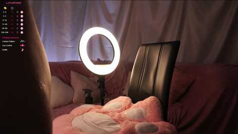 cutie_maureen @ chaturbate on 20241124