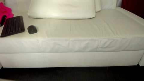 dulceyjohn @ chaturbate on 20241124