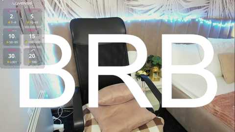 alli_zi @ chaturbate on 20241125