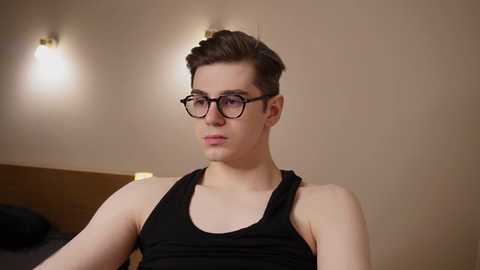 artdimension @ chaturbate on 20241125