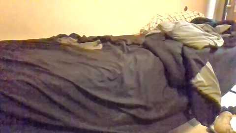 bigblackchoco777 @ chaturbate on 20241125