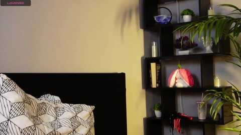candy_sandy_ @ chaturbate on 20241125
