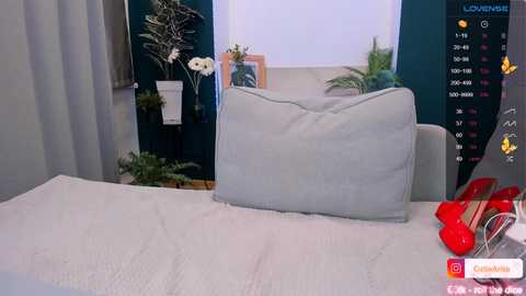 arikajoy @ chaturbate on 20241126