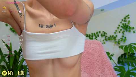 breeding_material @ chaturbate on 20241126