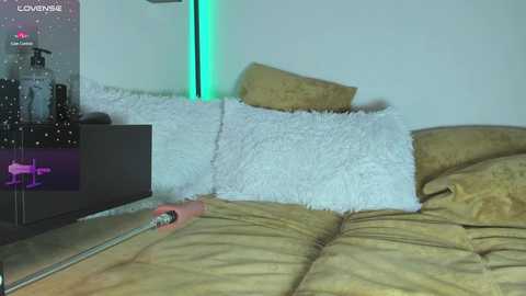devilevi1 @ chaturbate on 20241126