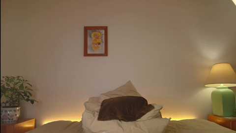 jsmine_ @ chaturbate on 20241126