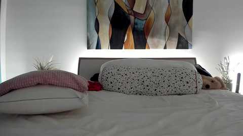 mis_eva @ chaturbate on 20241126