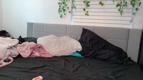 ramichick @ chaturbate on 20241126