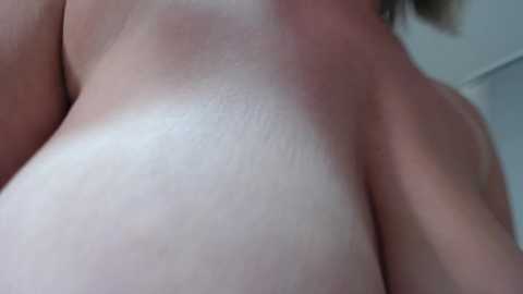 sexyelsexy1 @ chaturbate on 20241126