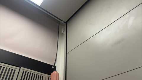 faseremx @ chaturbate on 20241127