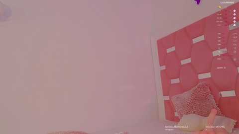nicolle_mitchelle @ chaturbate on 20241127