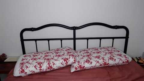 jowiththehair @ chaturbate on 20241128