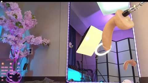 marry_cordy @ chaturbate on 20241128