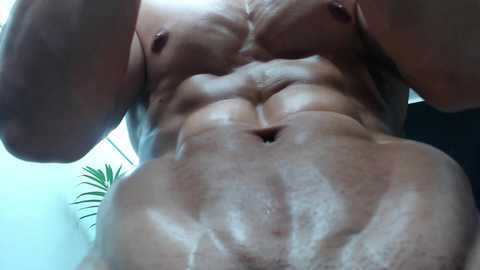 muscle__man