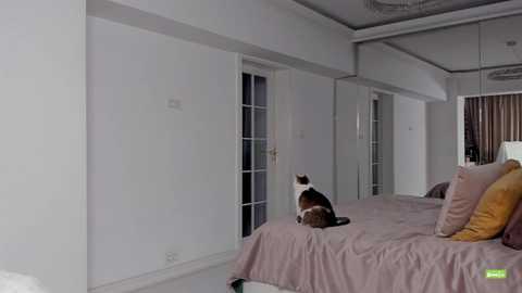 unforgettable_s @ chaturbate on 20241128