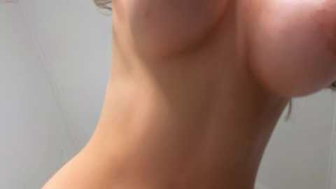 aryamirelle @ chaturbate on 20241129