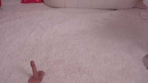 bunnydollstella @ chaturbate on 20241129