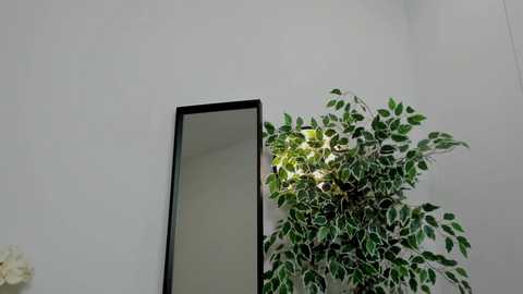 chloe_bianca18 @ chaturbate on 20241129