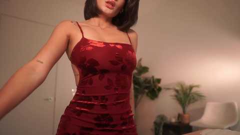 letiziafulkers1 @ chaturbate on 20241129
