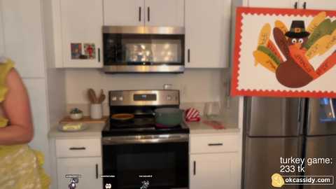 oh_ok_cassidy @ chaturbate on 20241129