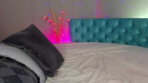 iwillfall_ @ chaturbate on 20241130