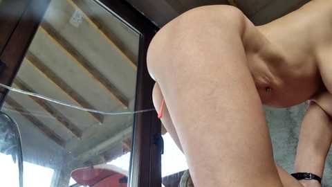 2whitediamonds @ chaturbate on 20241201