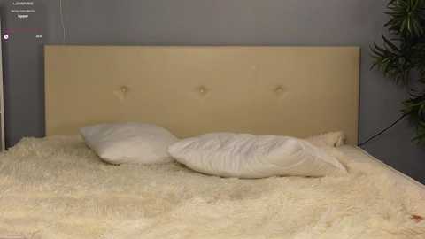 lauratanguy @ chaturbate on 20241201