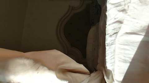 littlegreekflower @ chaturbate on 20241201