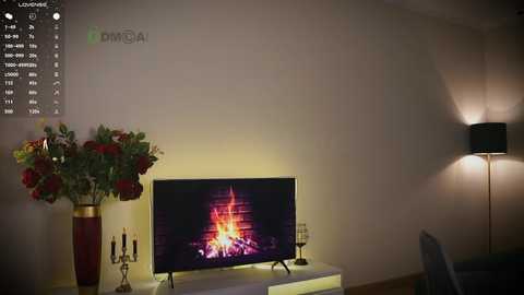 maryssaa_ @ chaturbate on 20241201