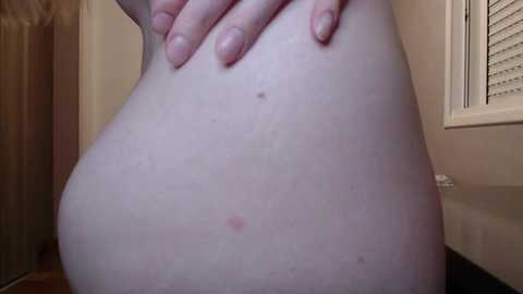 naughty_popa @ chaturbate on 20241201