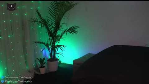 thatcouplejx @ chaturbate on 20241201