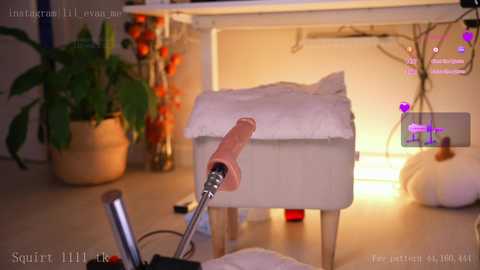 lil_eva @ chaturbate on 20241202
