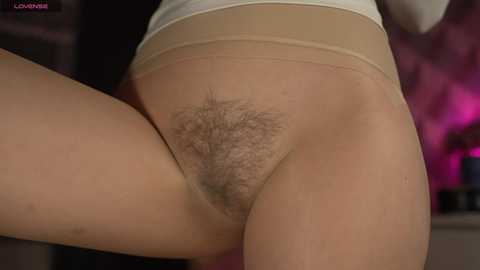 orsonhot @ chaturbate on 20241202