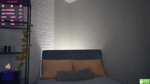 rowenahallman @ chaturbate on 20241202