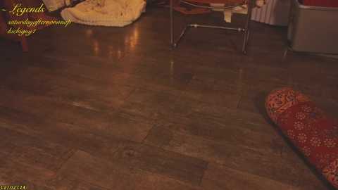 _stella_rose_ @ chaturbate on 20241203