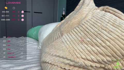 blair_fox @ chaturbate on 20241203