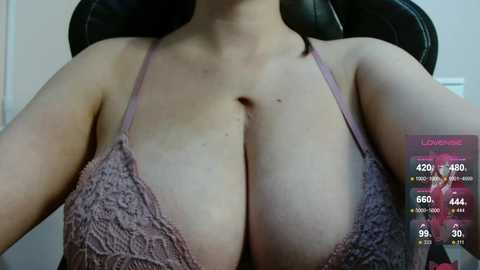 bonkmegame