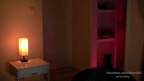 chloewildd @ chaturbate on 20241203