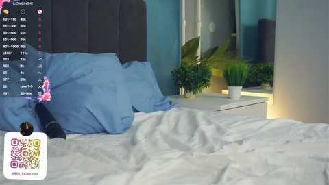 cinacramby @ chaturbate on 20241203
